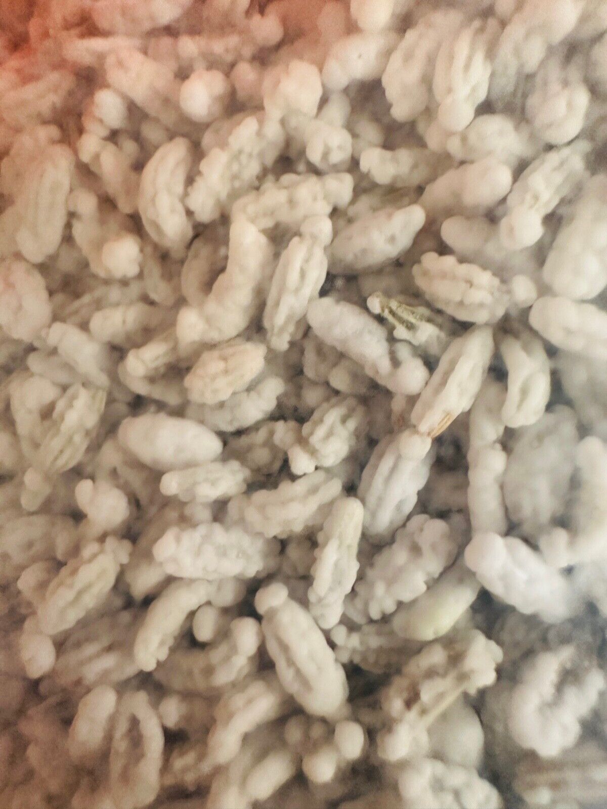 Madrasi Saunf | White Sugar Coated Fennel Seeds | Sweet Mukhwas/Mouthfreshner