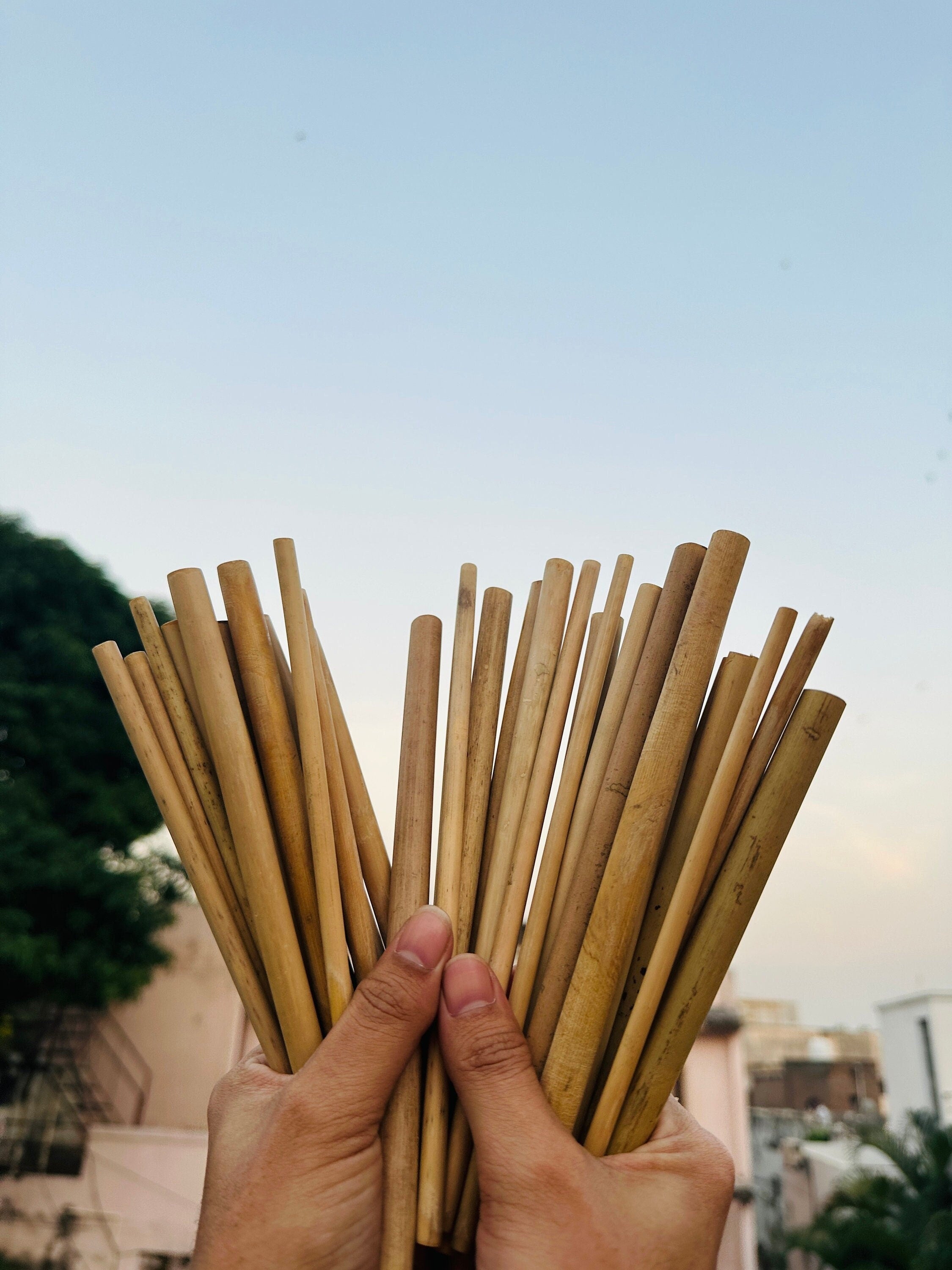 Handmade Natural Bamboo Straw | Eco-Friendly & Organic | Sustainable Kitchenware | Decorative Gift | Reusable with Cleaner - Alchemy Tradex